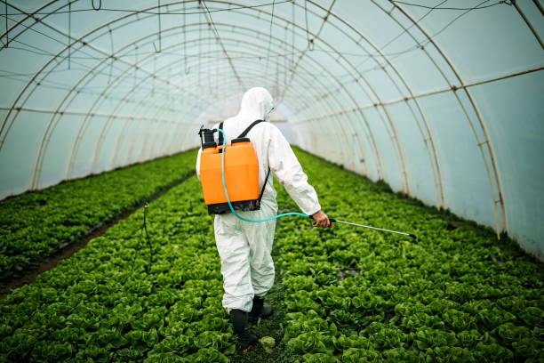 Best Local Pest Control Services  in Congers, NY